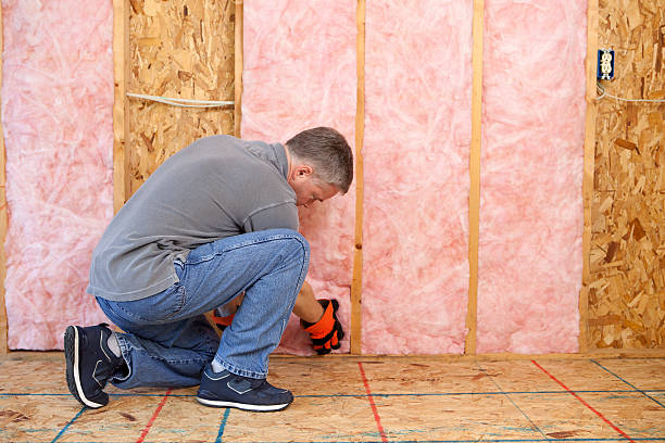 Types of Insulation We Offer in Lacey, WA